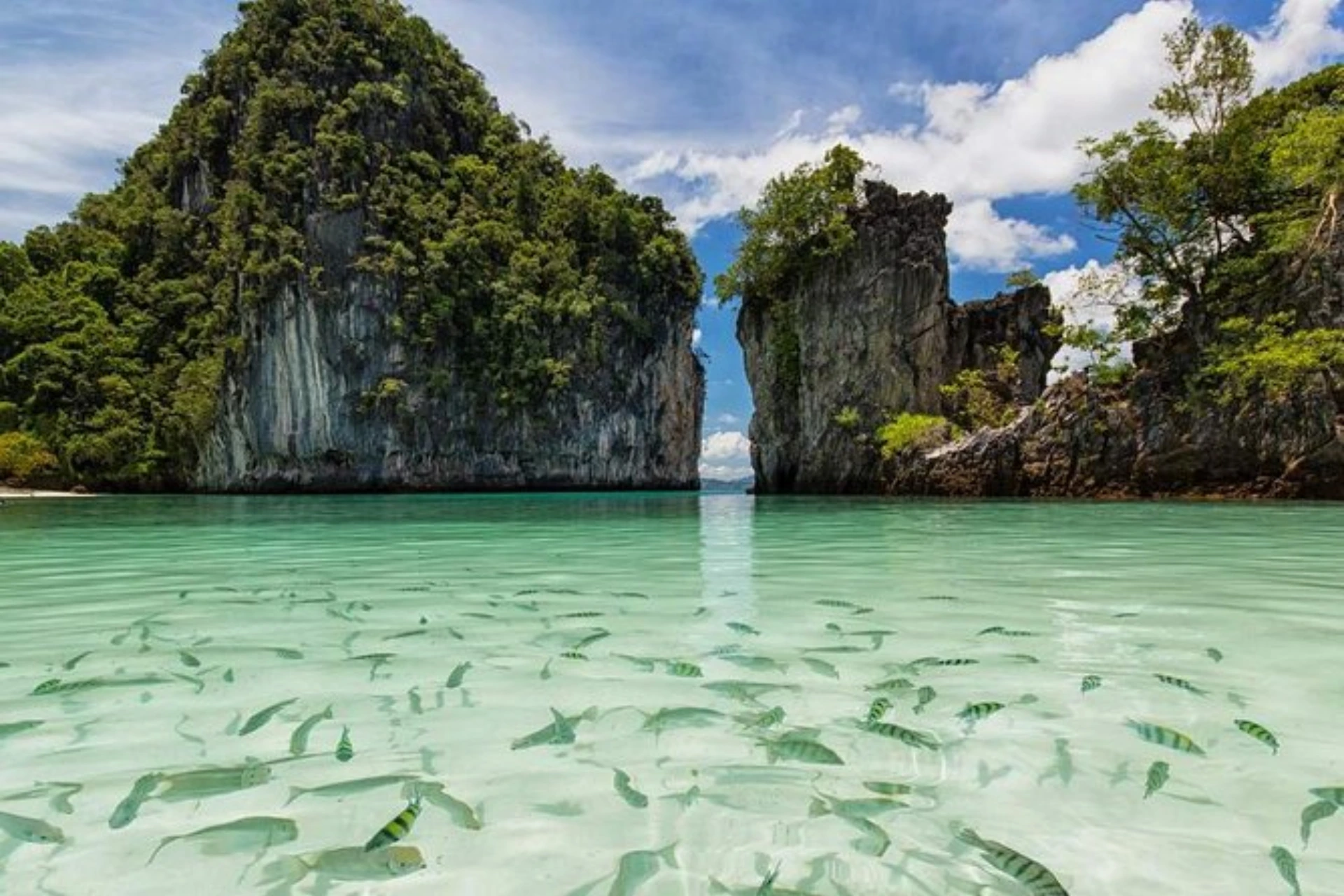 Fish swimming in clear water between tall rock cliffs at Hong Island