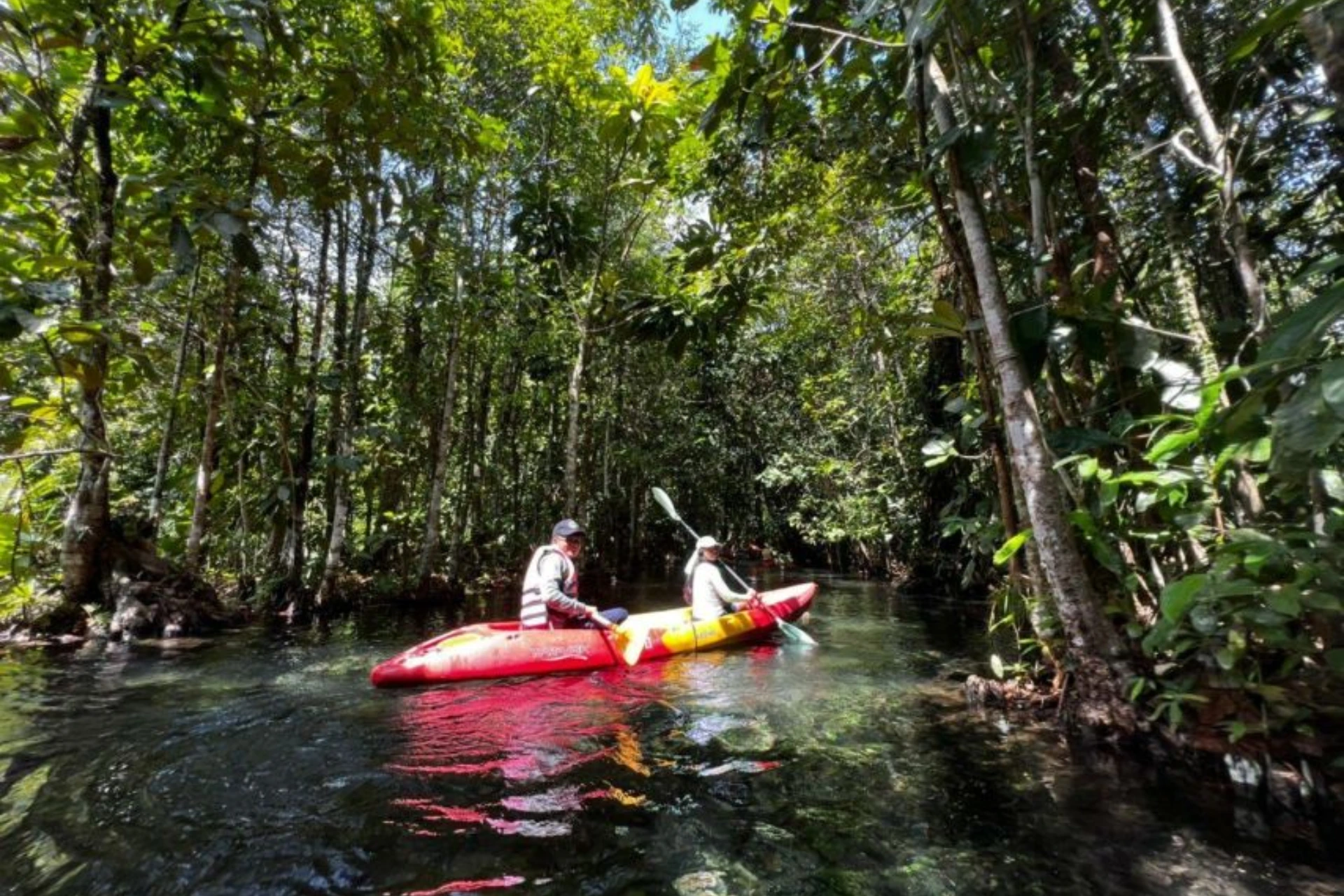 Two kayakers paddling through mangrove forest at Khlong Nam Sai Lagoon