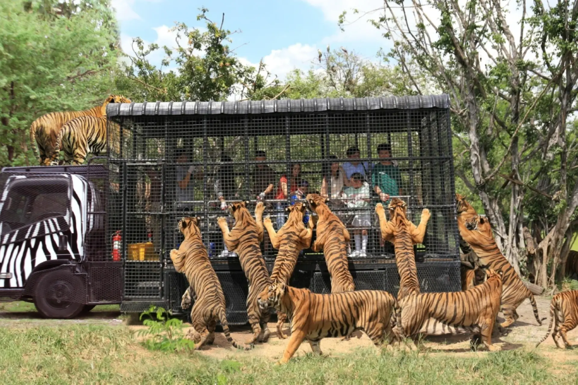 Safari World Bangkok