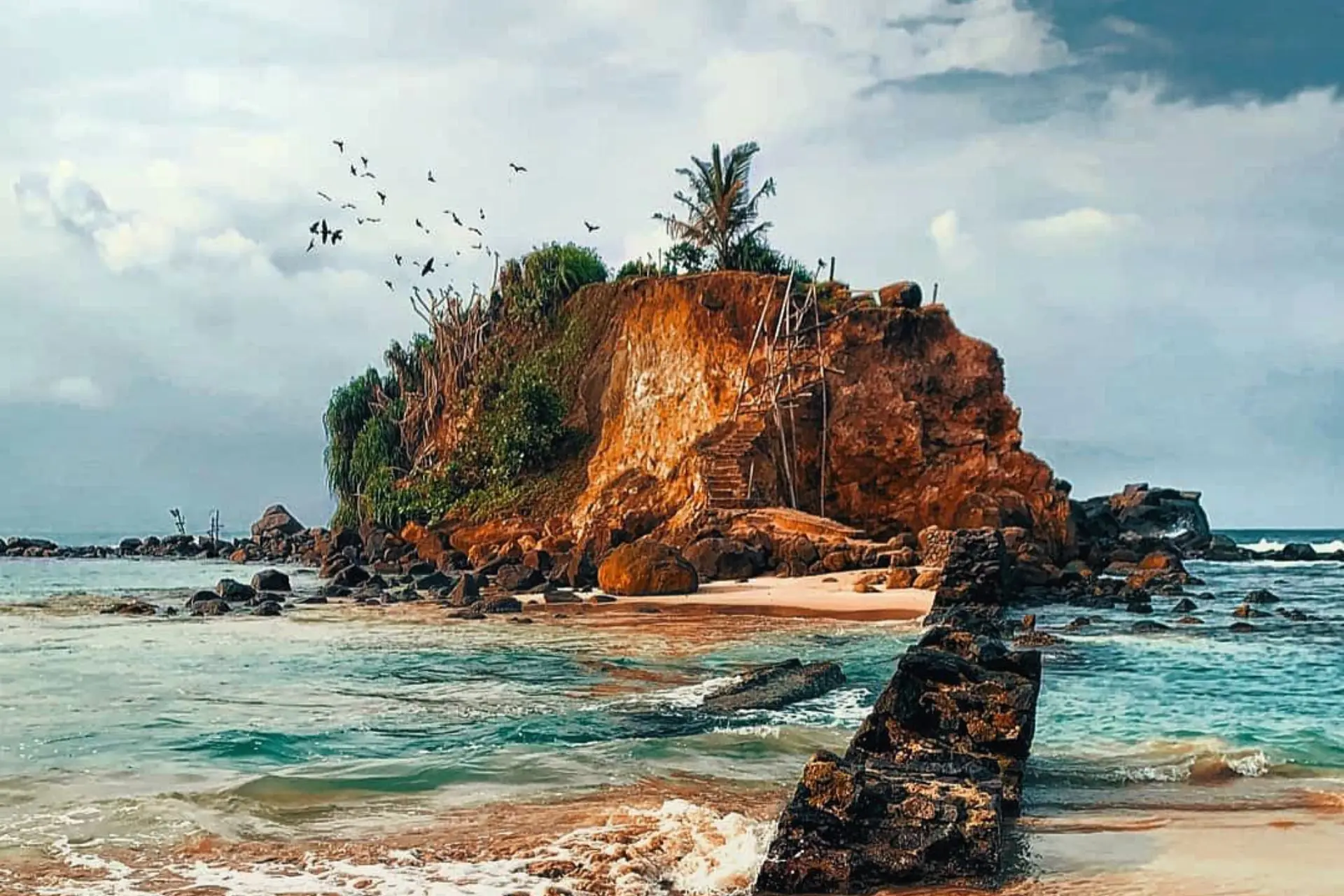 Parrot Rock Mirissa