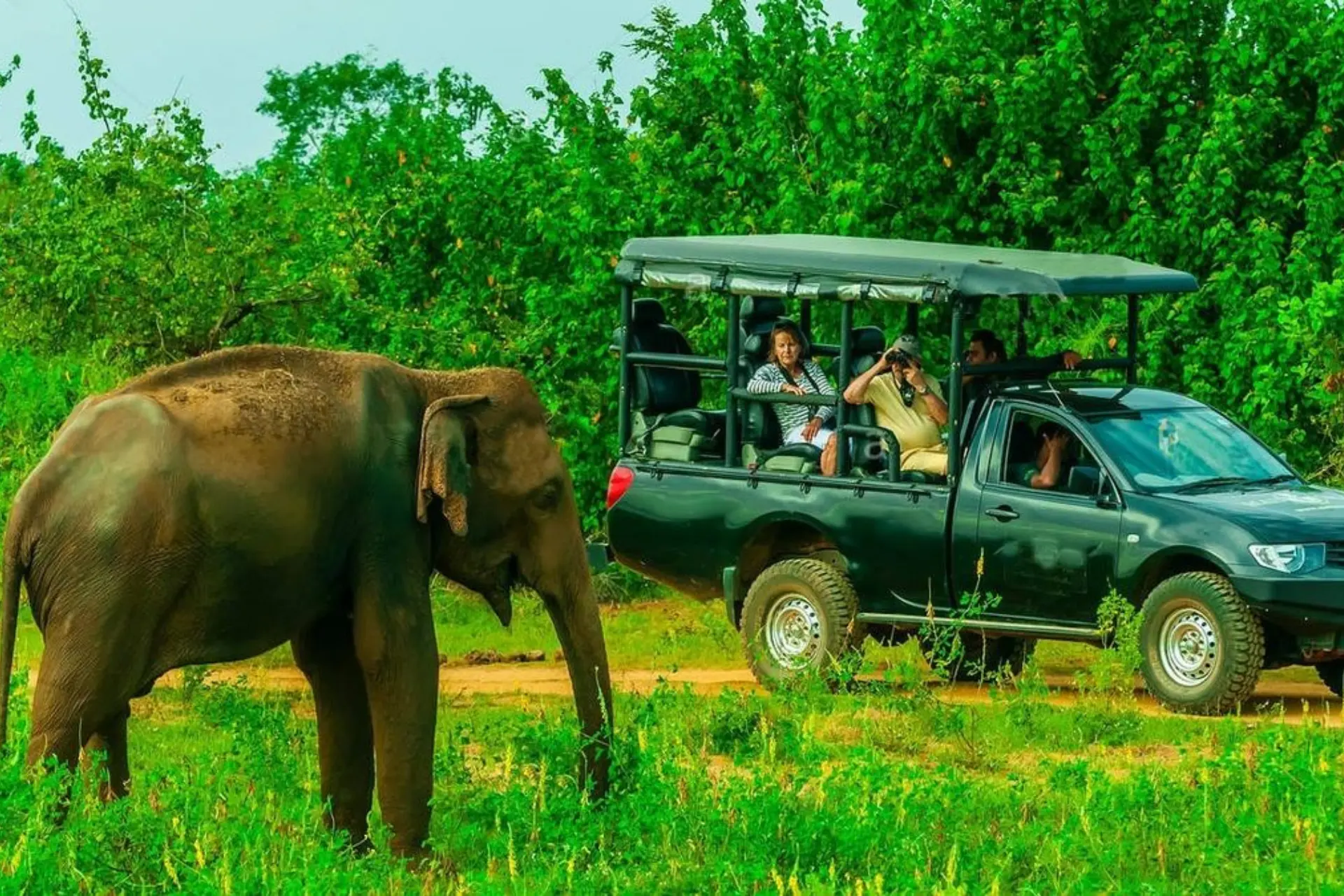 Yala National Park