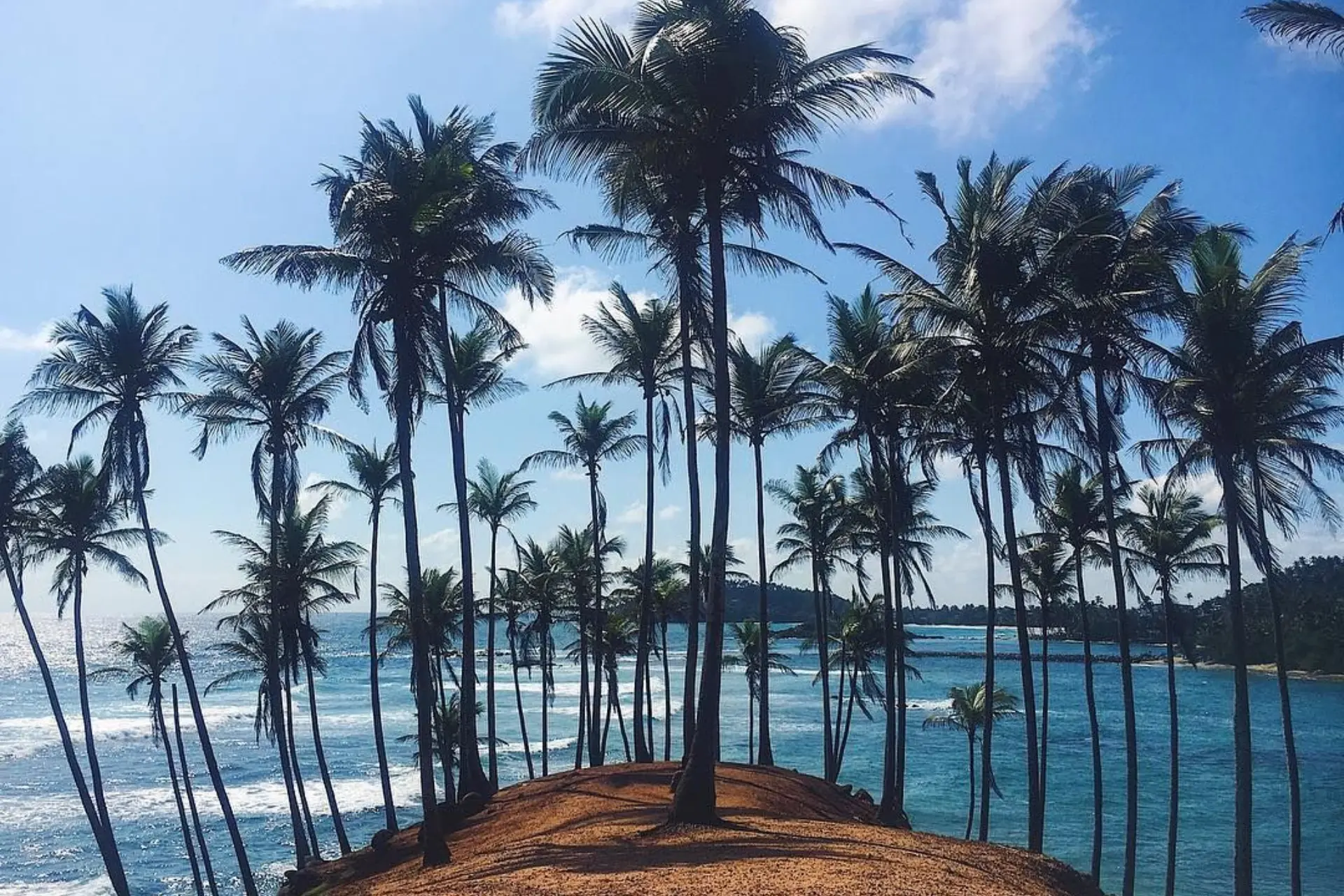 Coconut Tree Hill Mirissa