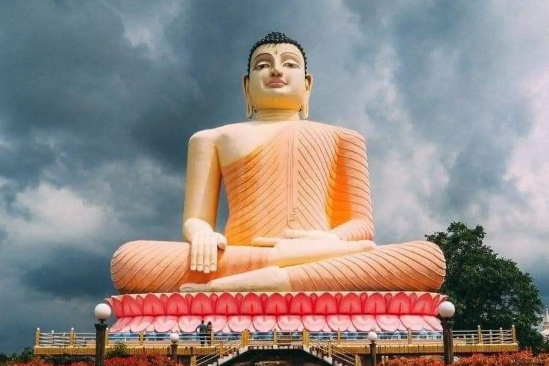 Colombo, Nuwara Eliya, Mirissa Sri Lanka image 3