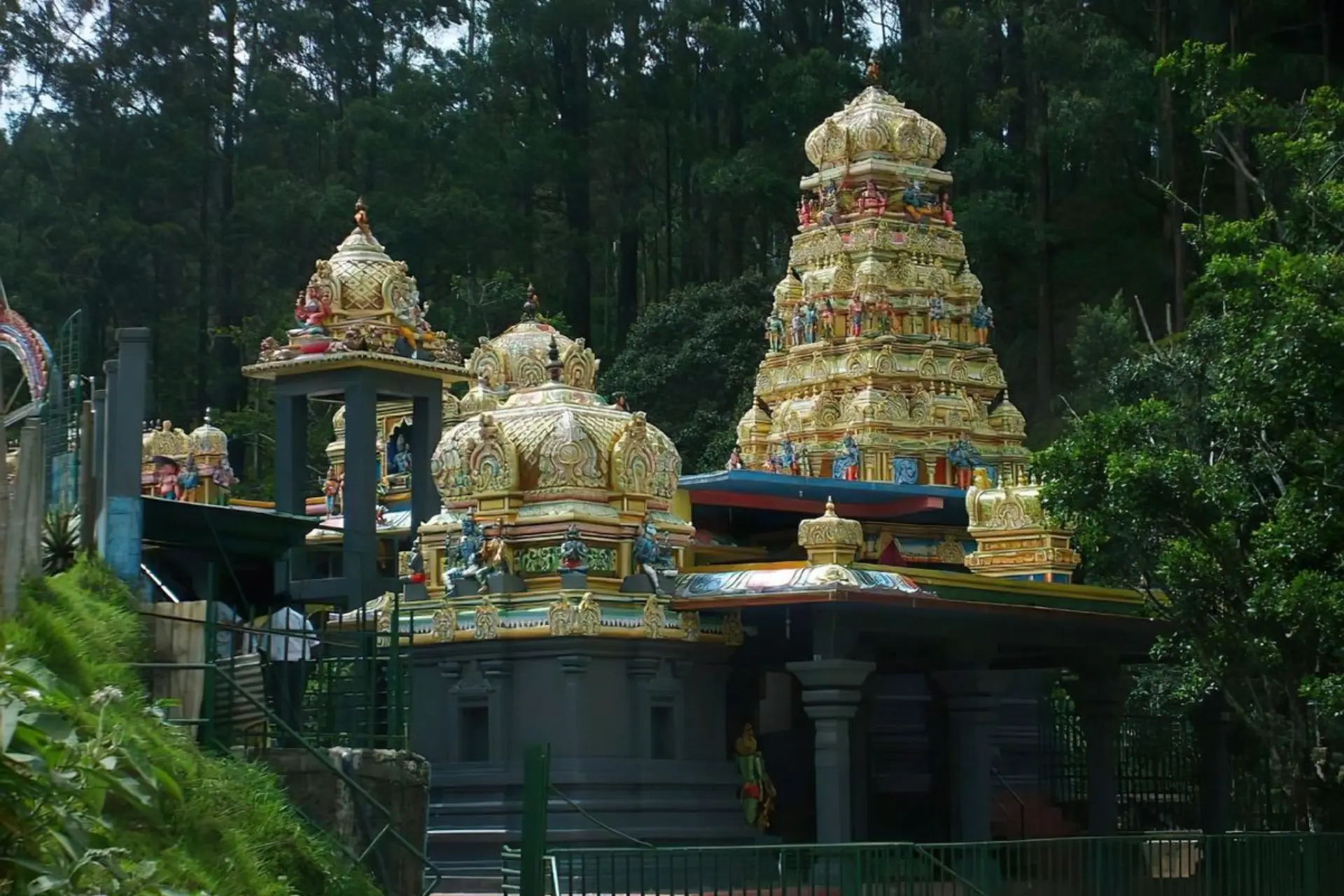 Nuwara Eliya, Ella, Mirissa Sri Lanka image 4