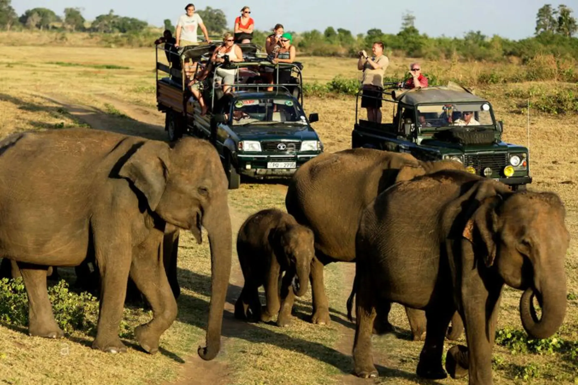 Kandy, Nuwara Eliya, Sigiriya & More Sri Lanka package
