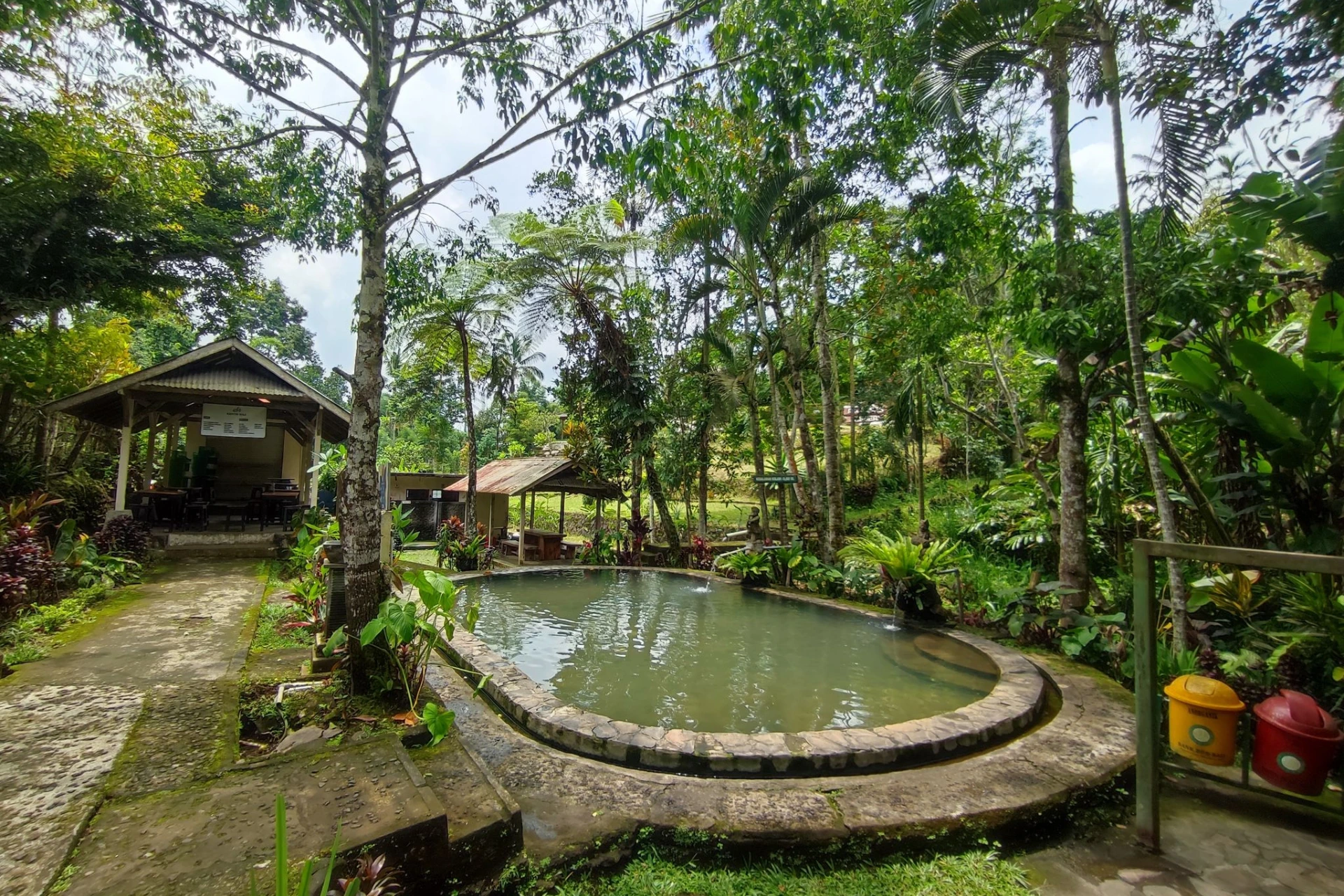 Seminyak, Ubud, Komodo & More Bali day 2