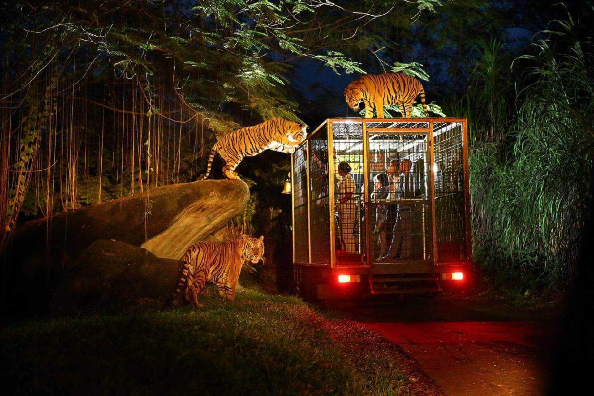 Seminyak, Ubud, Nusa Dua Bali package