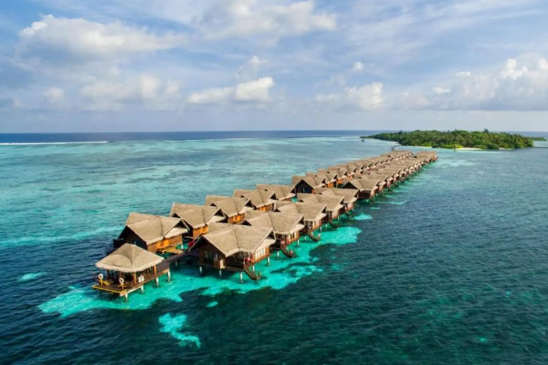 gallery_6_1779821805
