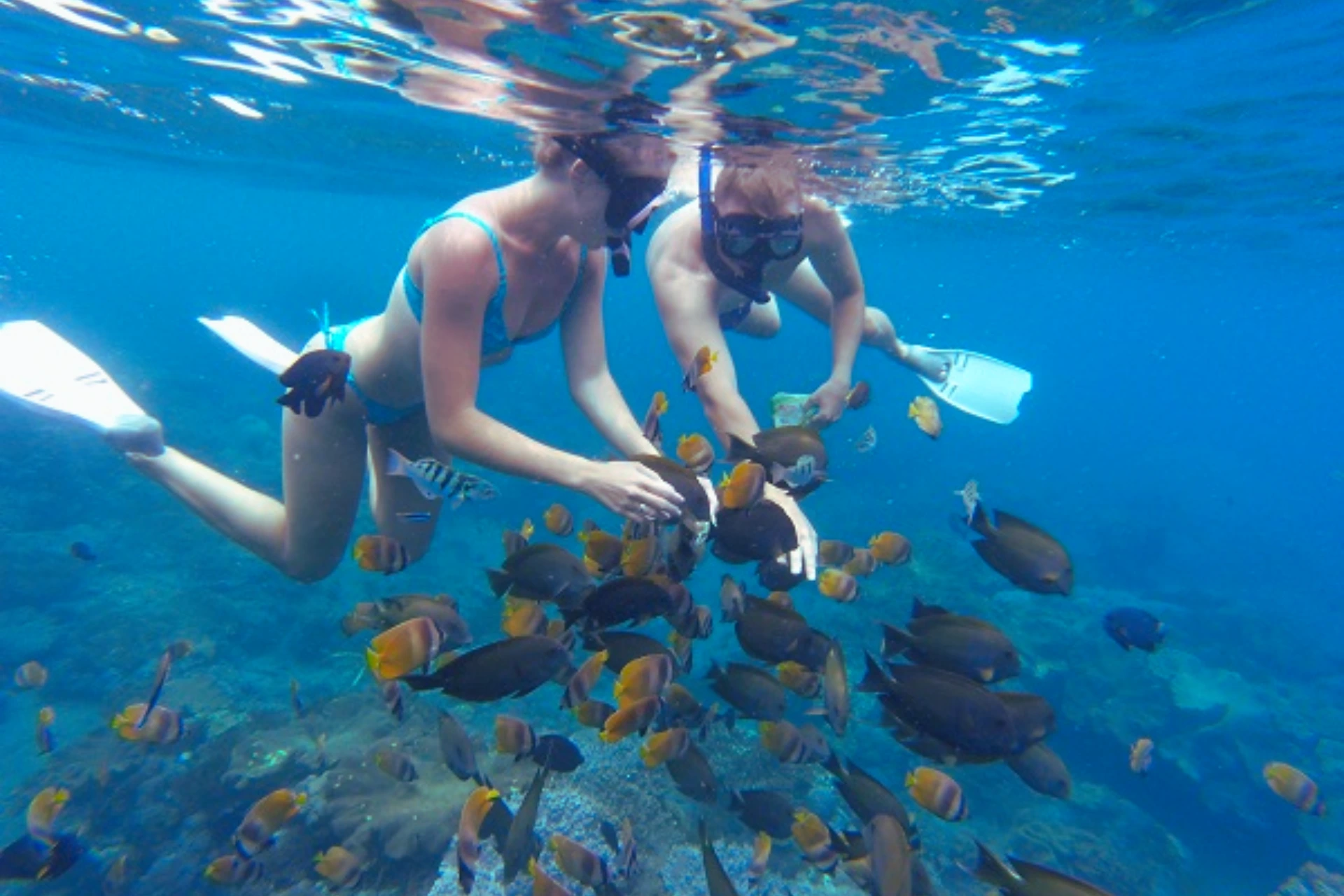 Seminyak, Ubud Bali package