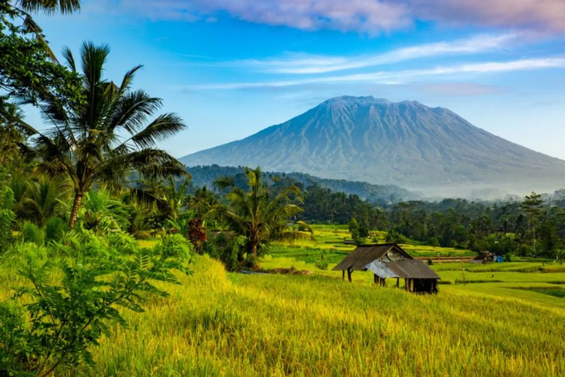 Seminyak, Ubud, Nusa Penida Bali package